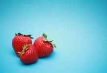 Salif Ba : la culture de fraises le rend millionnaire !